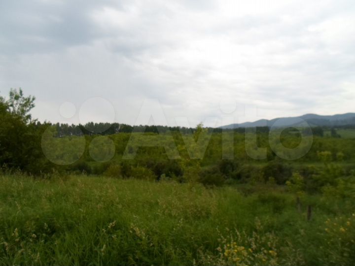 Участок 6 га (СНТ, ДНП)