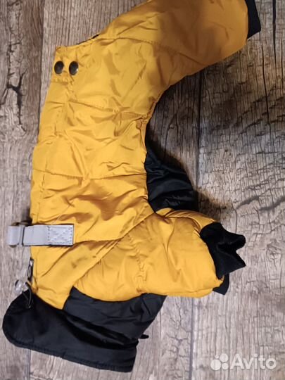 Одежда для собак мелких пород