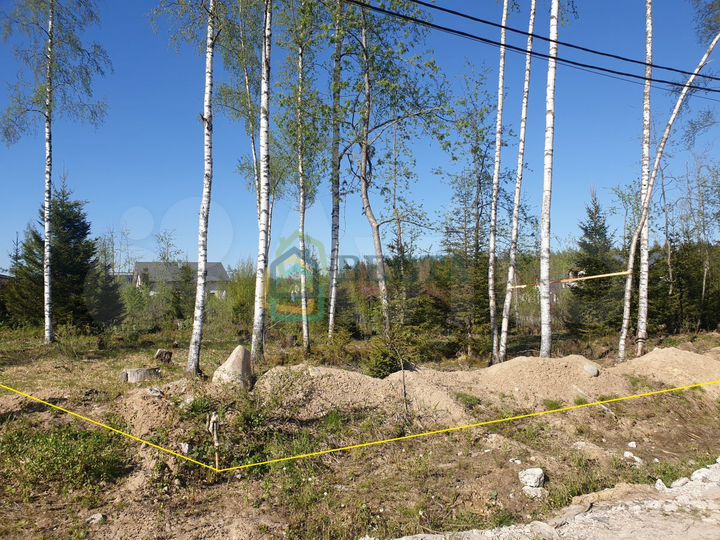 Участок 9,8 сот. (СНТ, ДНП)