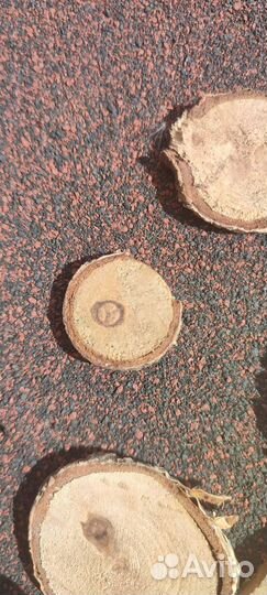 Спилы дерева берёза, слэб, декор