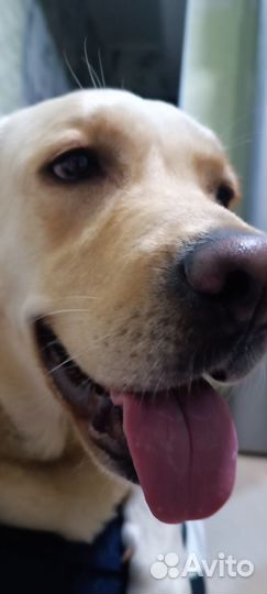 Семейная фотосессия