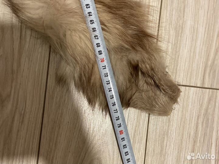 Шкурка песца «воротник»