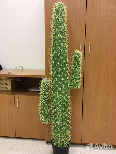 Кактус искусственный Новый