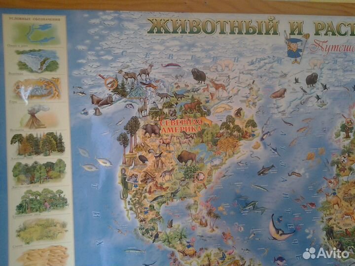 Животный и растительный мир Земли. Детская карта