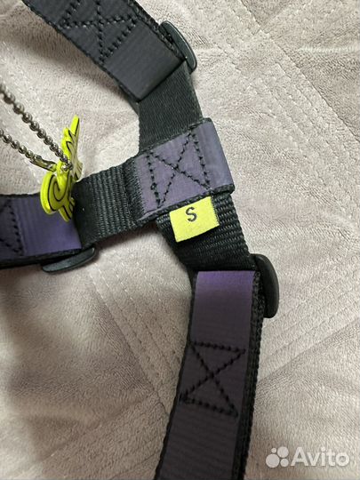 Амуниция для собак