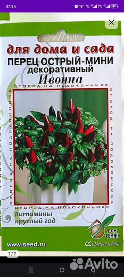 Рассада перчиков для подоконника