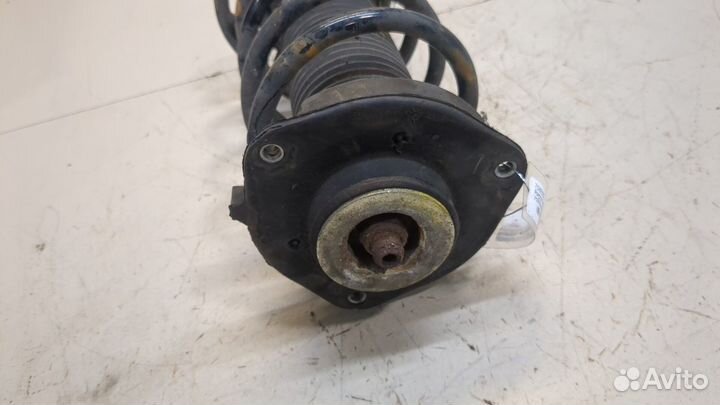 Амортизатор подвески Volkswagen Golf Plus, 2006