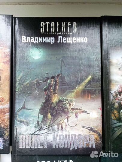 Книги серии сталкер