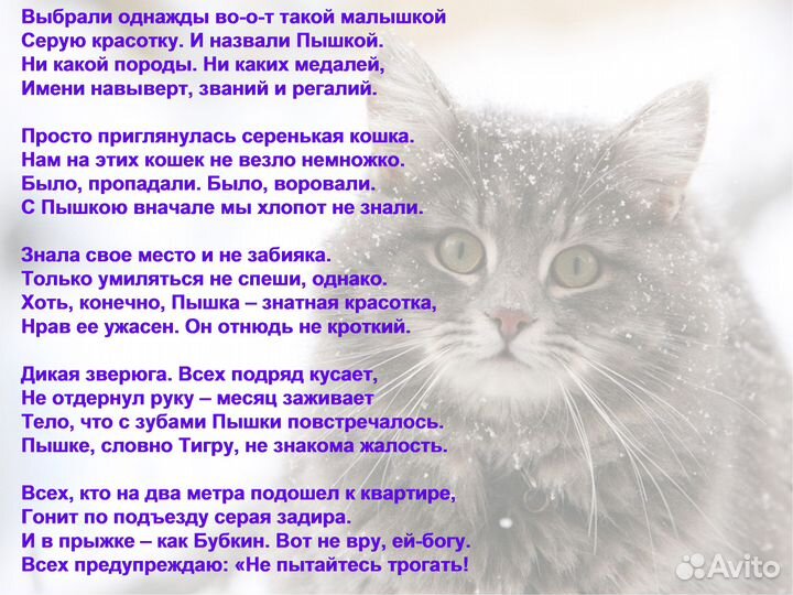 Стихи на заказ (поздравления, корпоративы, квн)