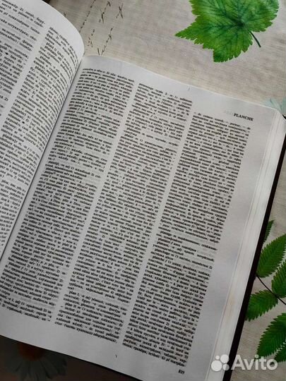 Французский словарь