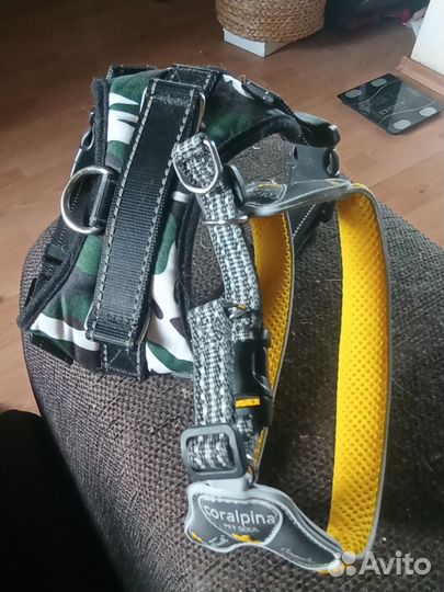 Шлейка для маленькой собаки