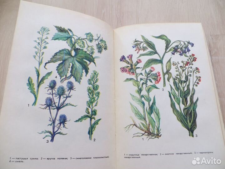 Книги о лечении (растения,мед,гипертония, диабет)