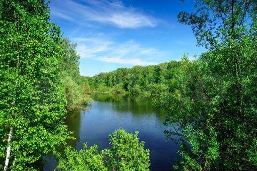 Участок 11 сот. (СНТ, ДНП)