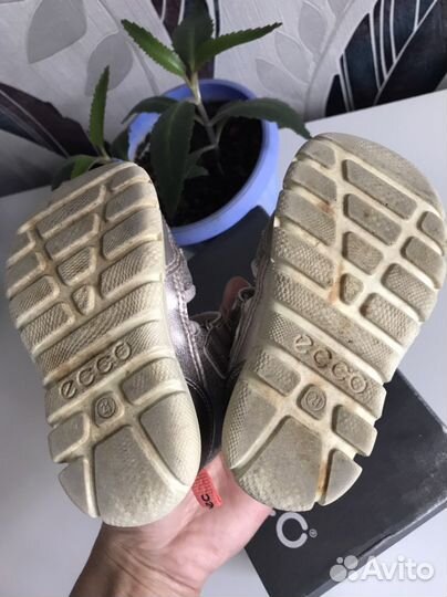 Сандали ecco 21