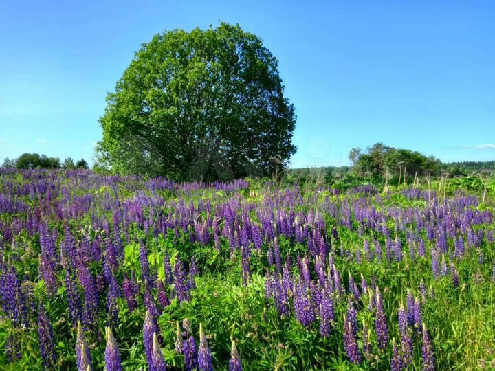 Дом 100 м² на участке 7 сот.