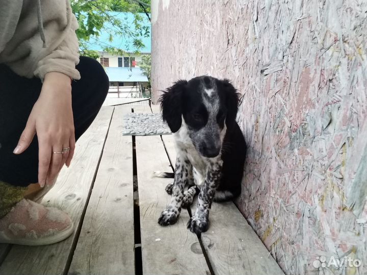 Девочка 5 месяцев