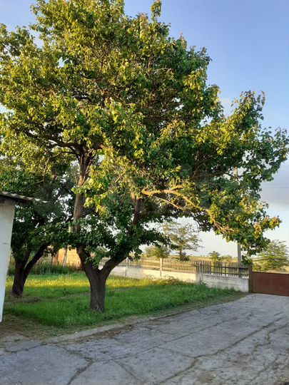 Дом 75 м² на участке 11 сот.