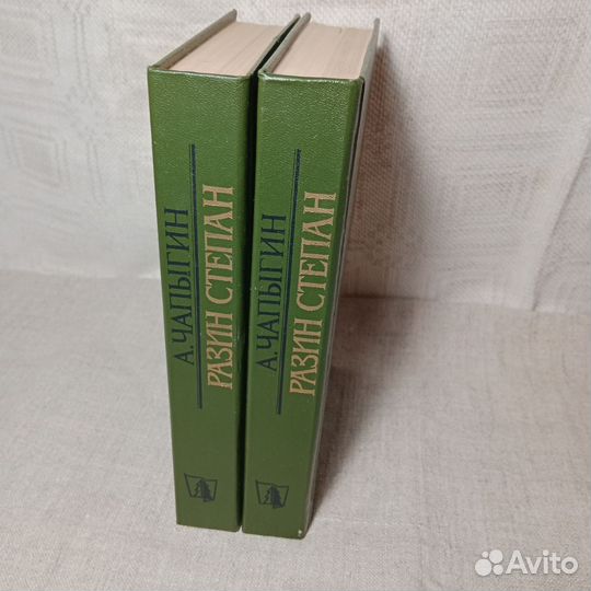 Книга Чапыгин Разин Степан