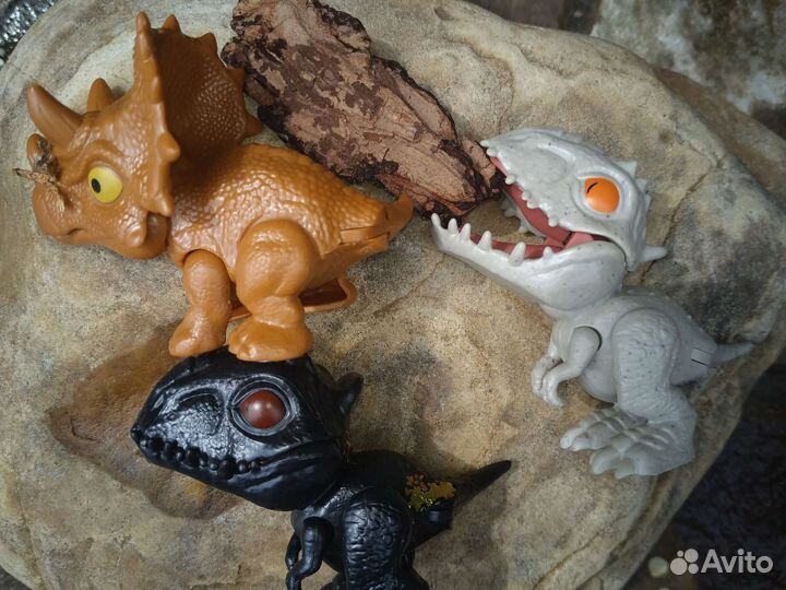 Драконы Кусаки