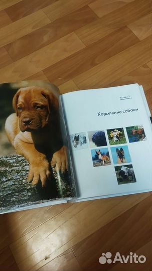 Энциклопедия собаки