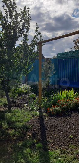 Дом 38,4 м² на участке 18,9 сот.