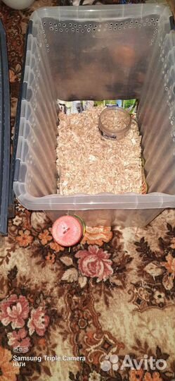 Готовое жильё для грызунов