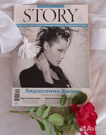 Журналы story