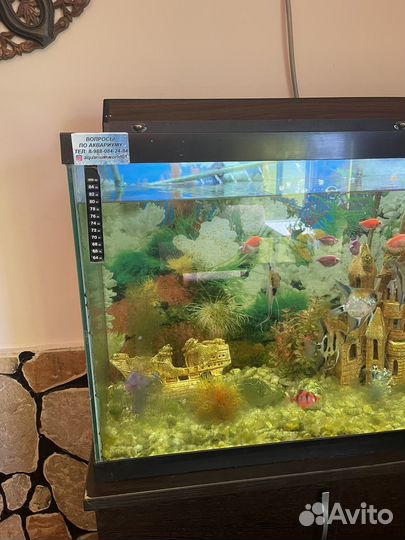 Аквариум