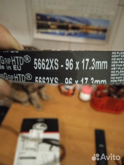 Ремень грм логан 1,4