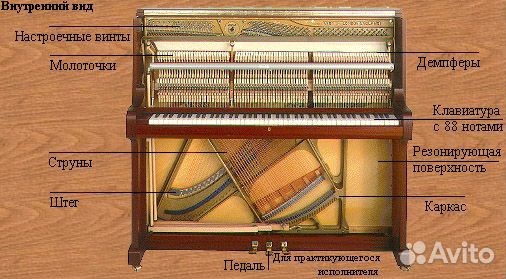 Настройка пианино,рояля,ремонт,помощь выборе