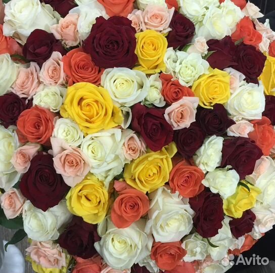 Цветы. Букет 101 роза 50см. Доставка есть