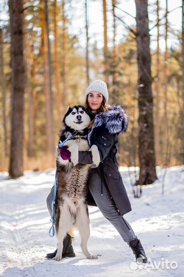 Фотограф и видеосъемка, альбомы под ключ