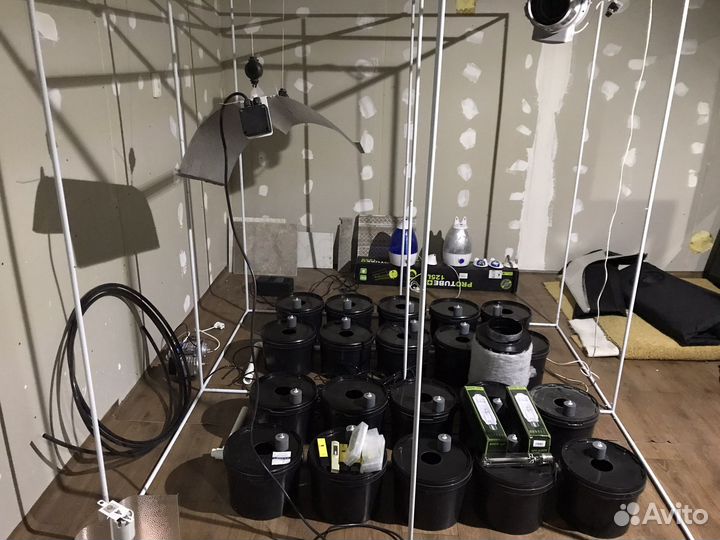 Гидропоника