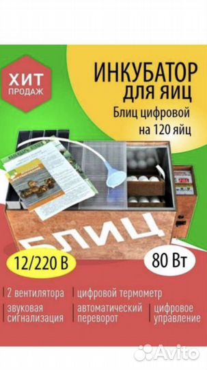 Инкубатор для яиц