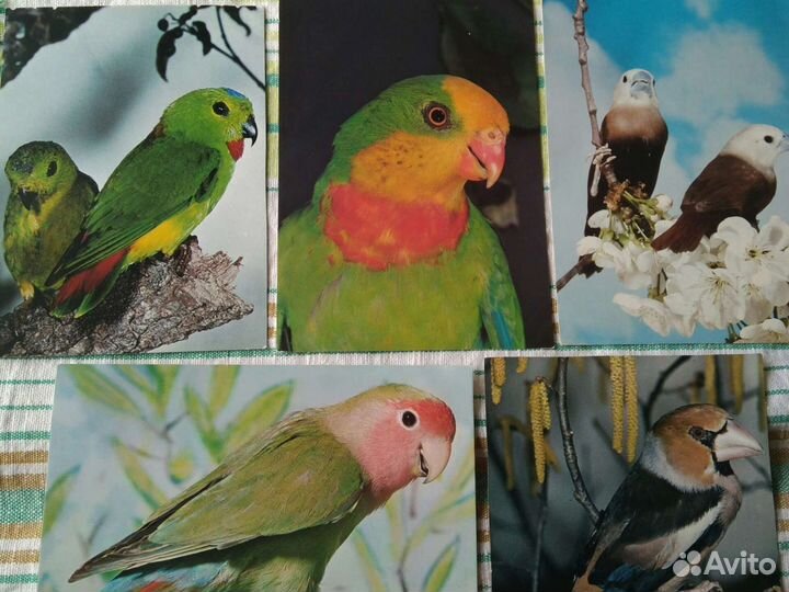 Открытки чехословацкие