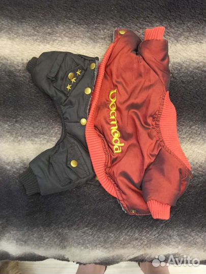 Одежда для собак