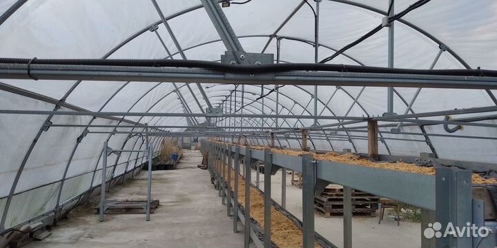 Теплица профессиональная