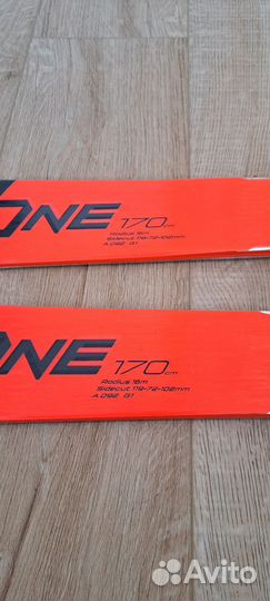 Горные лыжи