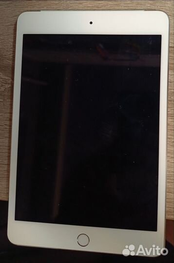 iPad mini 4 cellular