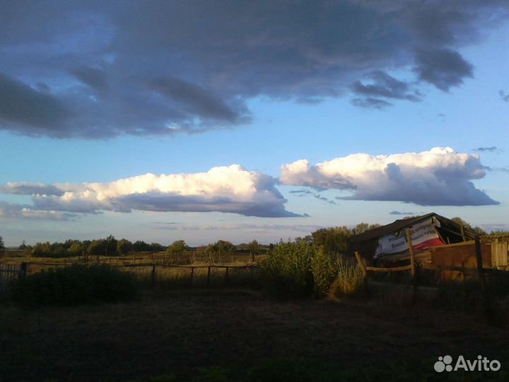 Доильный аппарат Доюшка