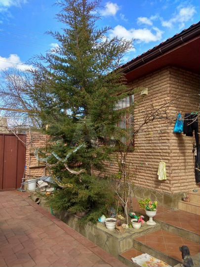 Комната 20 м², 1/1 эт.