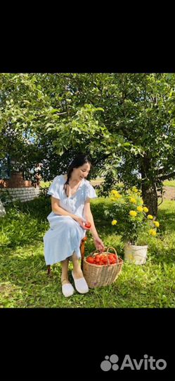 Видеосъемка видеограф