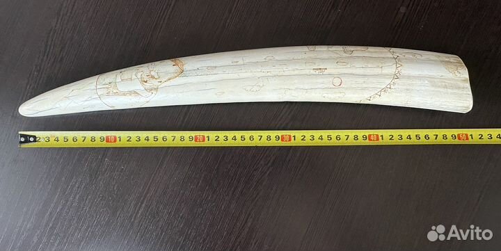 Имитация сувенир клык моржа