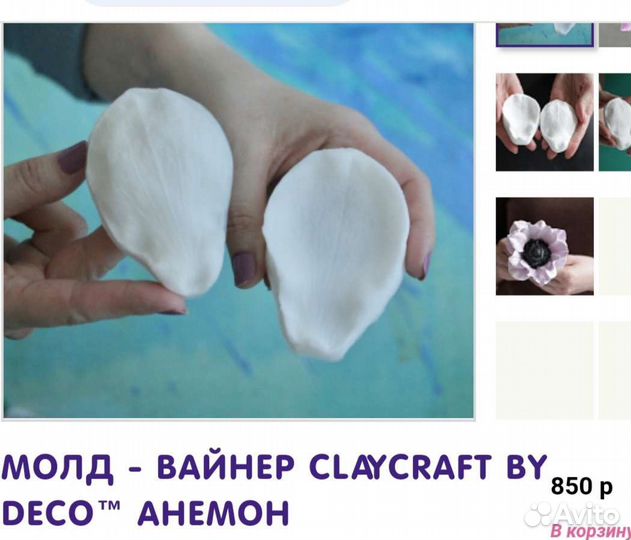 Вайнер тюльпан, анемон