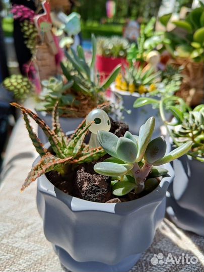 Уникальная цветочная композиция