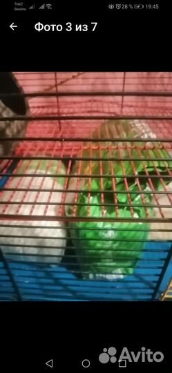 Клетка для мелких И средних грызунов