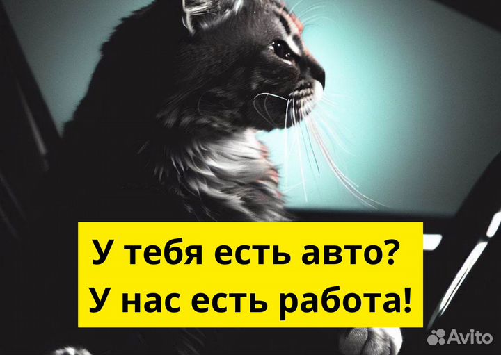 Вакансия в Яндекс.GO