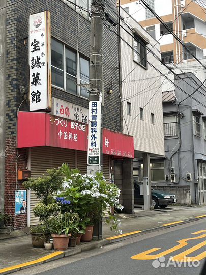 Японский язык