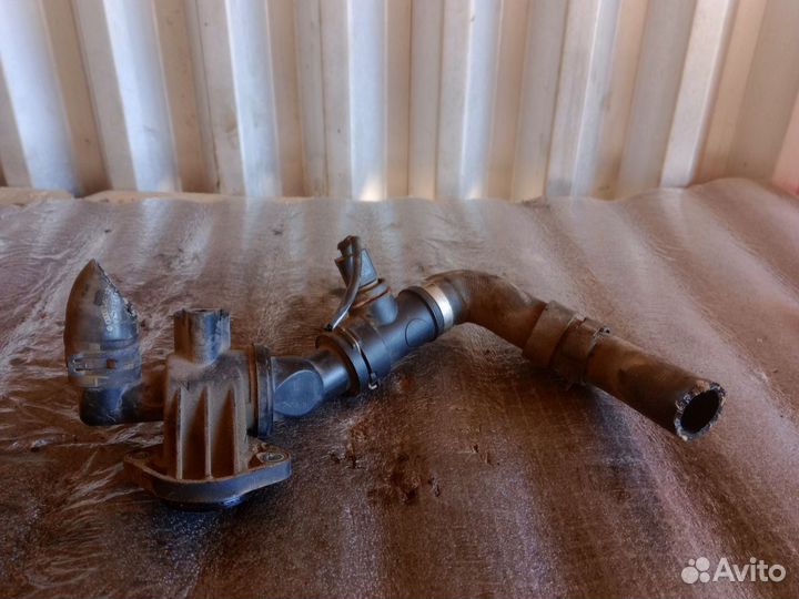 VAG Термостат passat (B6) (2005)