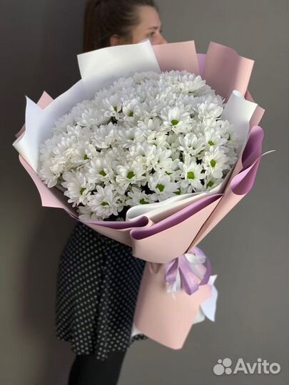 Белая хризантема